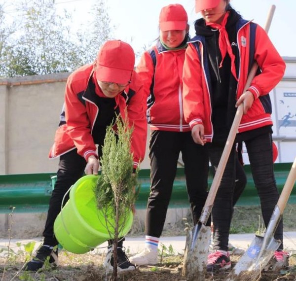 寿县 正阳中学开展植树活动