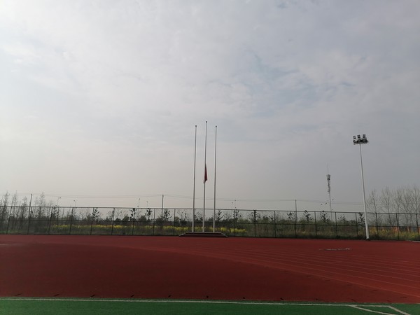 IMG_20200404_084128.jpg
