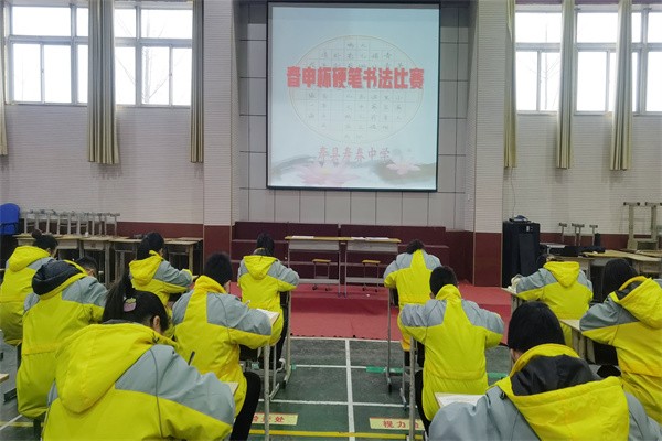 图片11.png