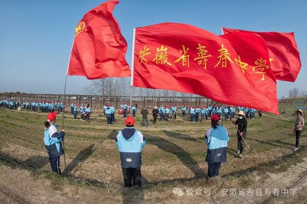 图片9.png