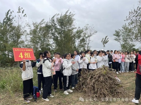 图片6.png