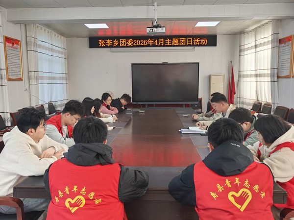 张李乡团委开展主题团日活动