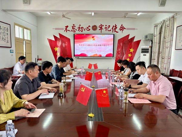 2026年安徽省少先队课题开题论证会