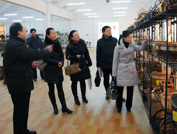 团县委到乡镇走访调研