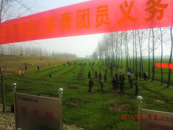 寿县再添一处“青年林”基地