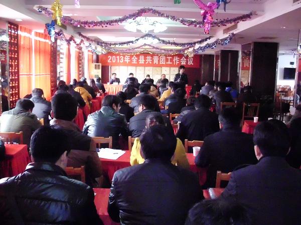 寿县召开全县共青团工作会议