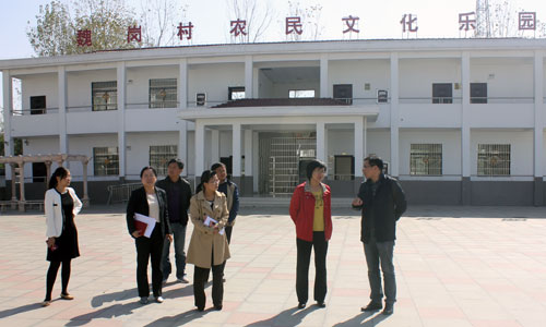   团省委到堰口镇开展“常态化下沉基层”调研活动