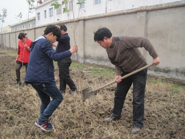 丰庄中心校组织部分师生开展植树造林活动