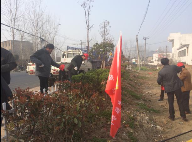   双桥镇组织开展环境综合整治活动