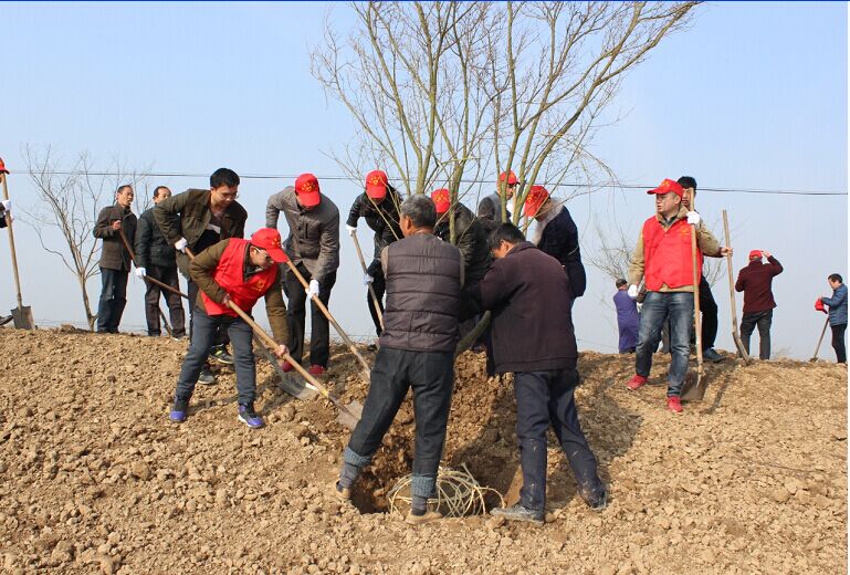 迎河镇团委开展义务植树活动