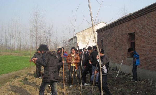 窑口中心校开展学雷锋精神月活动